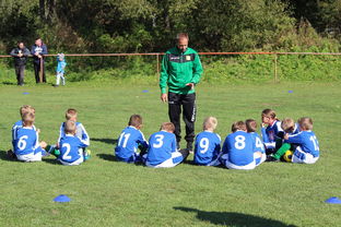 开云·体育官方网站入口-南非混合泳团队战术引热议，南非的混合农业